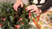 Hands and fir branches - 1st part
