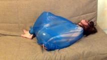 [From archive] Stella - ball packed in trash bag (video)