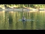 Jenny bathing in a lake and sun bathing wearing sexy darkblue shiny nylon shorts and a bikini-top (Video)