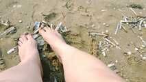 Sand and shells under my feet