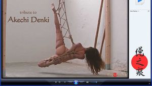 Tribute to Akechi Denki - video