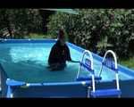 SEXY MARA wearing a special shiny down suit sun bathing and swimming in the pool (Video)