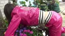 Watching Aiyana wearing supersexy pink shiny nylon rainwear while planting flowers in the garden (Video)