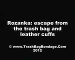 [From archive] Rozanka escapes from the trash bag and leather cuffs