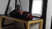 Aurora hogtied on table 2/2