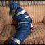Mara tied, gagged and hooded on a sofa wearing a sexy blue shiny nylon down skibib (Video)