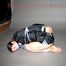 Beautiful archive girl tied and gagged in a photostudio wearing a sexy black adidas shiny nylon shorts and a rain jacket (Pics)
