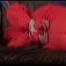 Jill tied, gagged and hooded on a princess bed wearing shiny orange rainwear (Video)