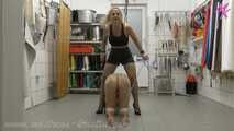 The trained boar - How to turn a #pig into a ham with the #whip #shamslaughtering