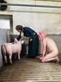 Bilderkollektion zum Film "Füttern meiner Schweinchen"