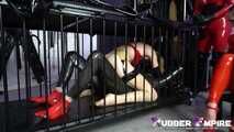 Slave couple in cage