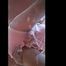 Video: wetting my Tena diaper