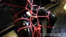 Lady Ashley - Incredibly horny rubber object