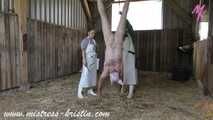 3 Schweine im Stall #Hausschlachtung #Rollenspiel im echten #Stall