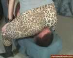 Verena, heavy leopard-spandex Facesitting