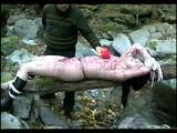 Jap Bondage Video: Japanese Woman Caught in the Woods and Tortured