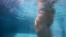 Nude Pool-diver